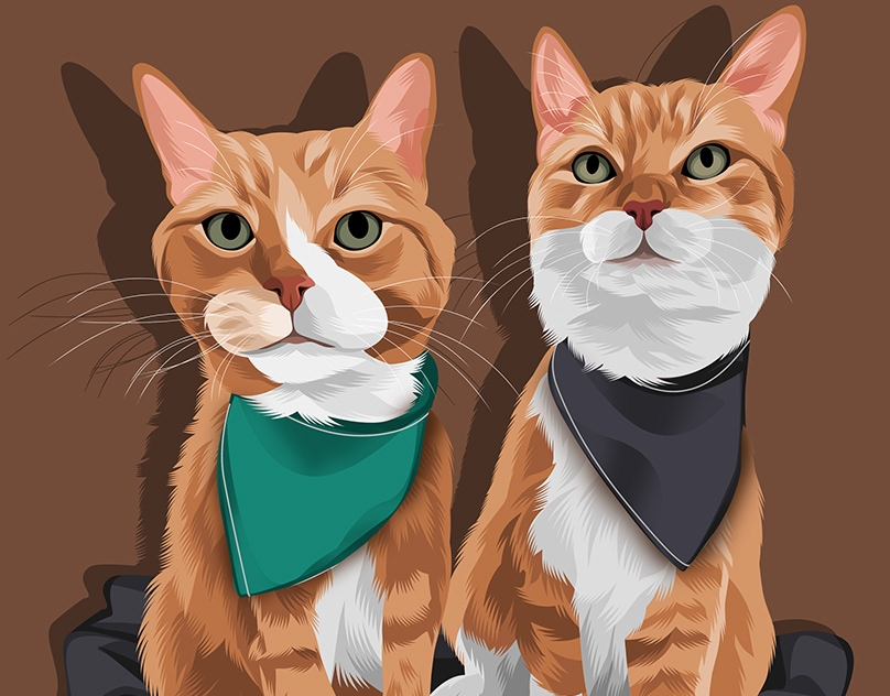 Vector-Sketch-of-Tumbles-and-Ollie