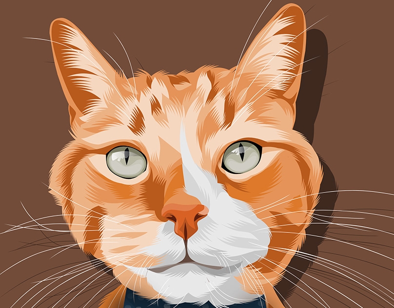 Vector-Sketch-of-Tumbles