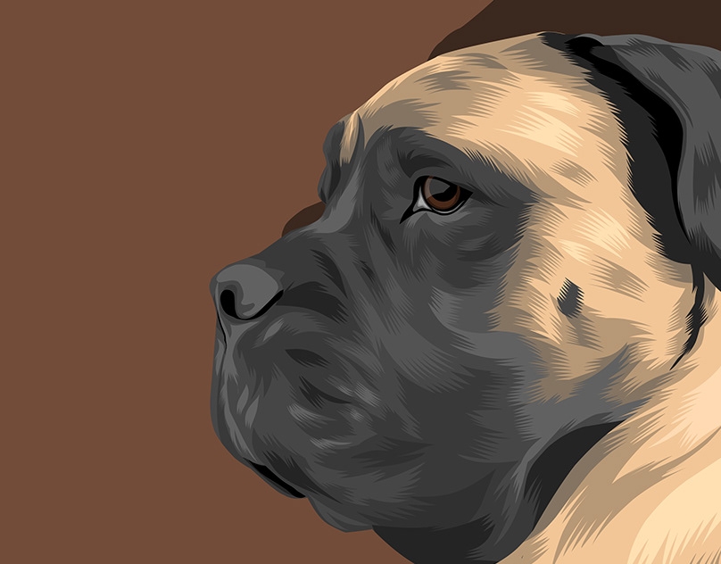 Vector-Sketch-of-Velma