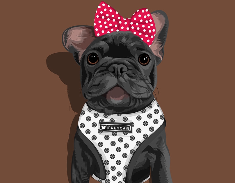 Vector-Sketch-of-Vix