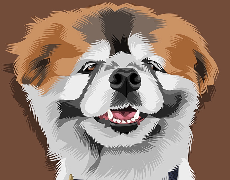 Vector-Sketch-of-Wesley