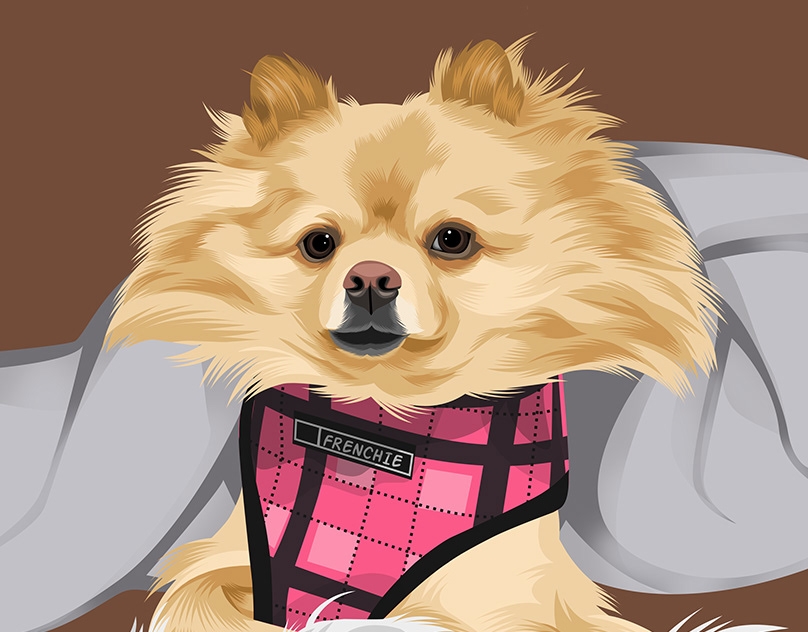 Vector-Sketch-of-Winston