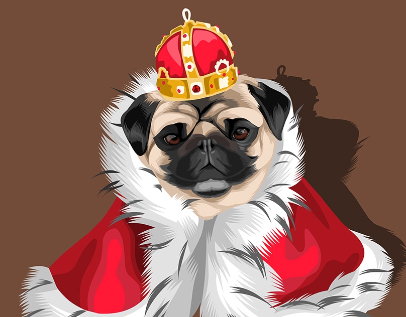 Vector-Sketch-of-Zed