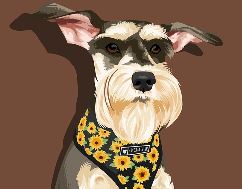 Vector-Sketch-of-a-Schnauzer